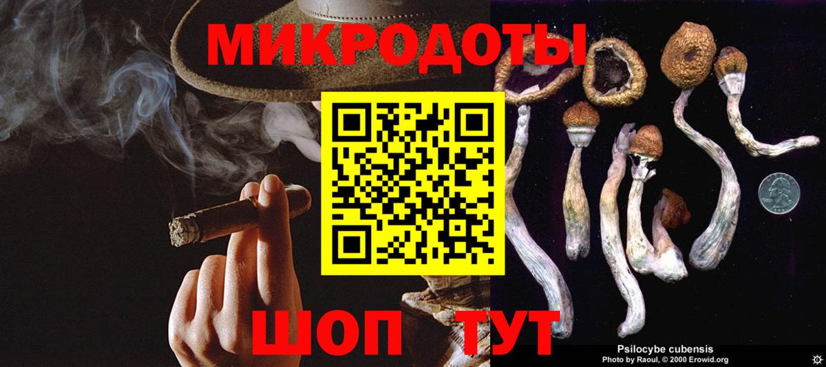 сколько стоит  Вход с VPN  Скопин  Псилоцибиновые грибы MAGIC MUSHROOMS 