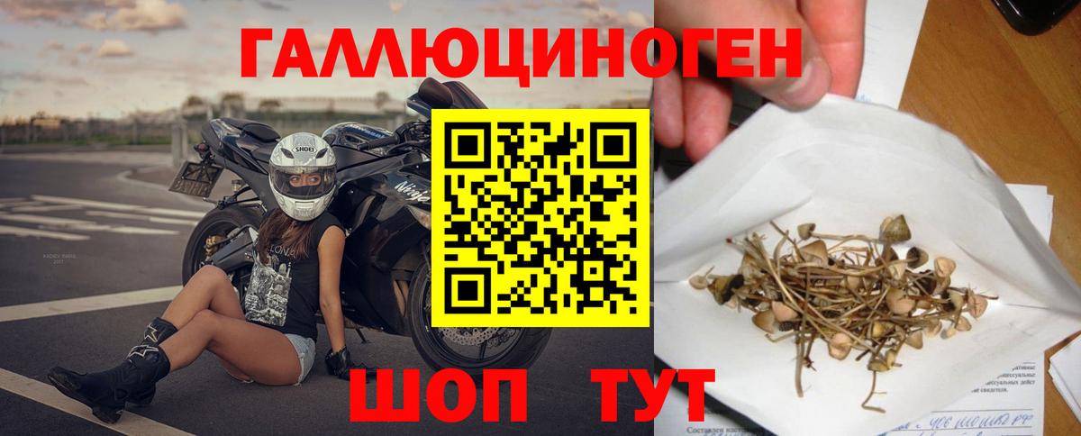 Псилоцибиновые грибы Cubensis Скопин